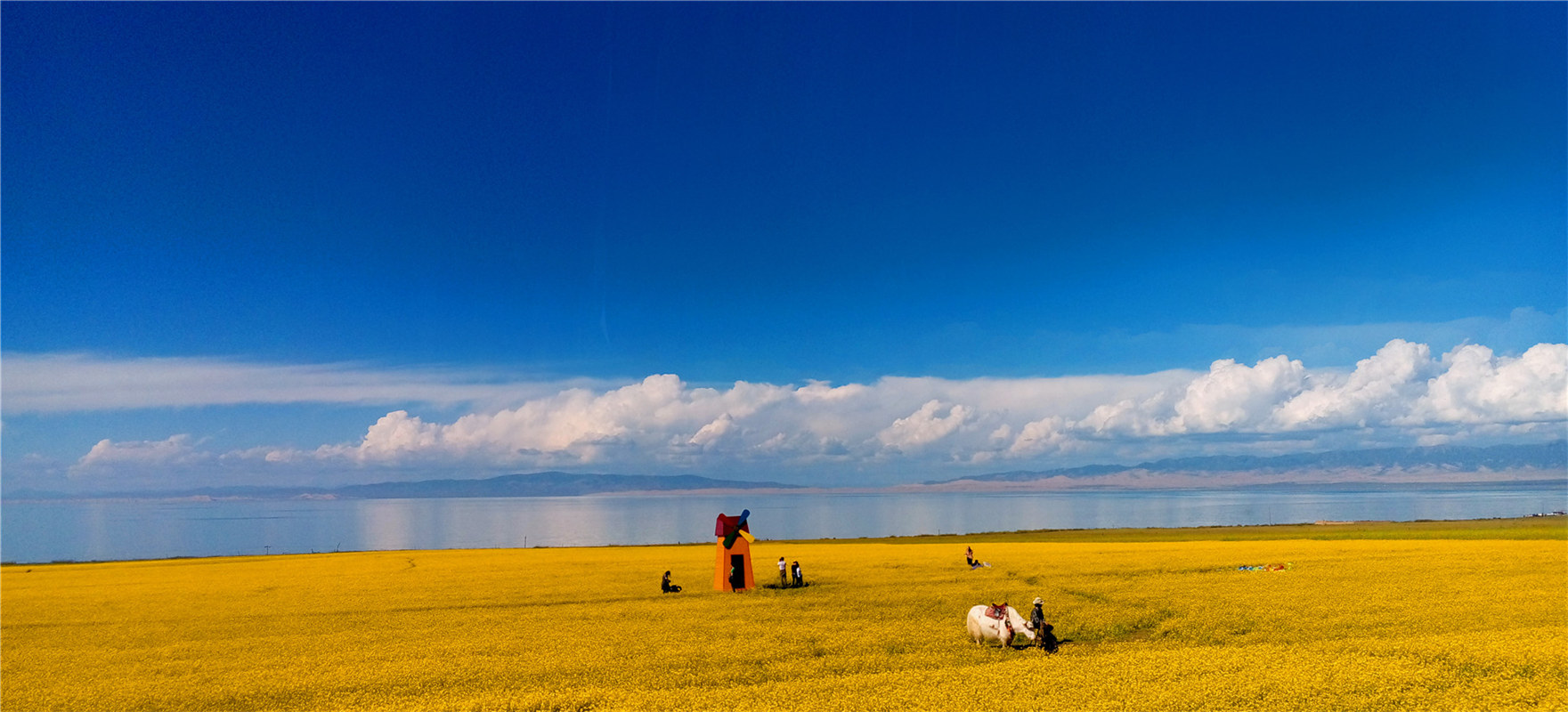 《大美青?！穭㈤?/>
                                    <div   id=