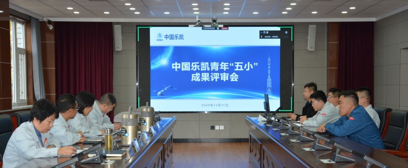 激揚(yáng)青春智造力！中國(guó)樂凱團(tuán)委召開青年&ldquo;五小&rdquo;成果評(píng)審會(huì)